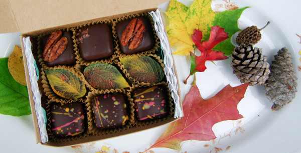 Organic, Fair Trade Autumn Chocolates