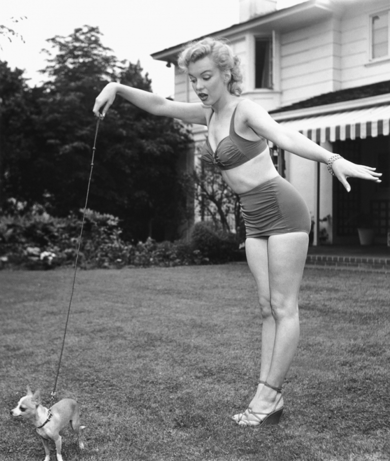 Marilyn Monroe high-waisted panty
